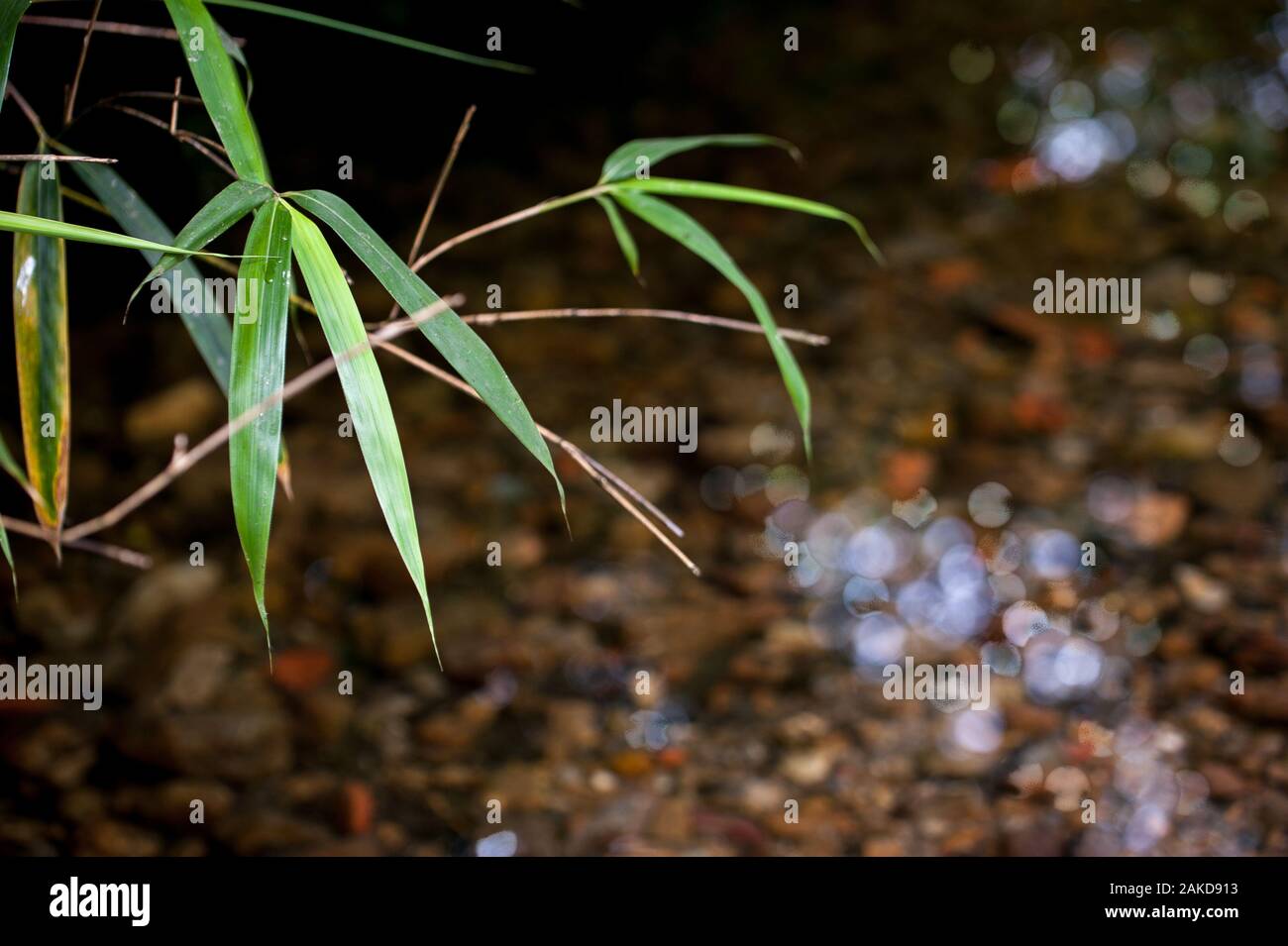 Crystal clear water sunny hi-res stock photography and images - Alamy