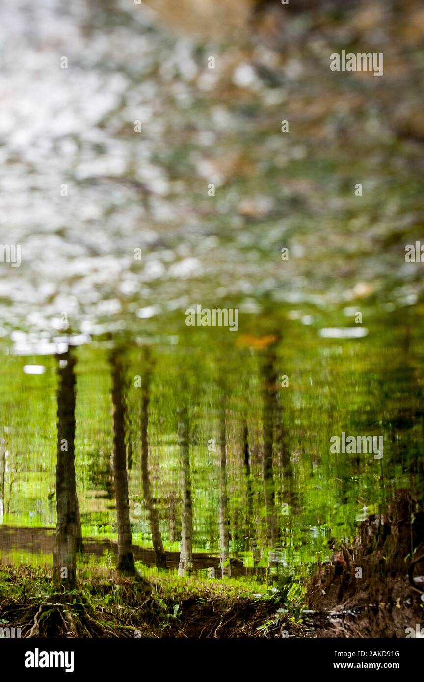 Crystal clear water sunny hi-res stock photography and images - Alamy