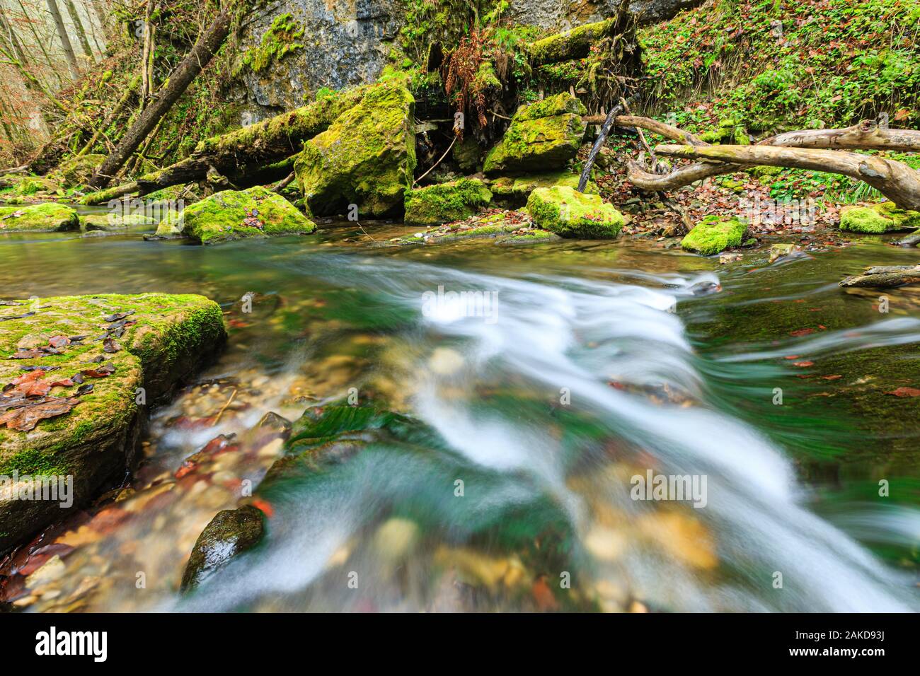 River Gauchach in the Gauchach Gorge, Black Forest, Baden-Wuerttemberg, Germany Stock Photo