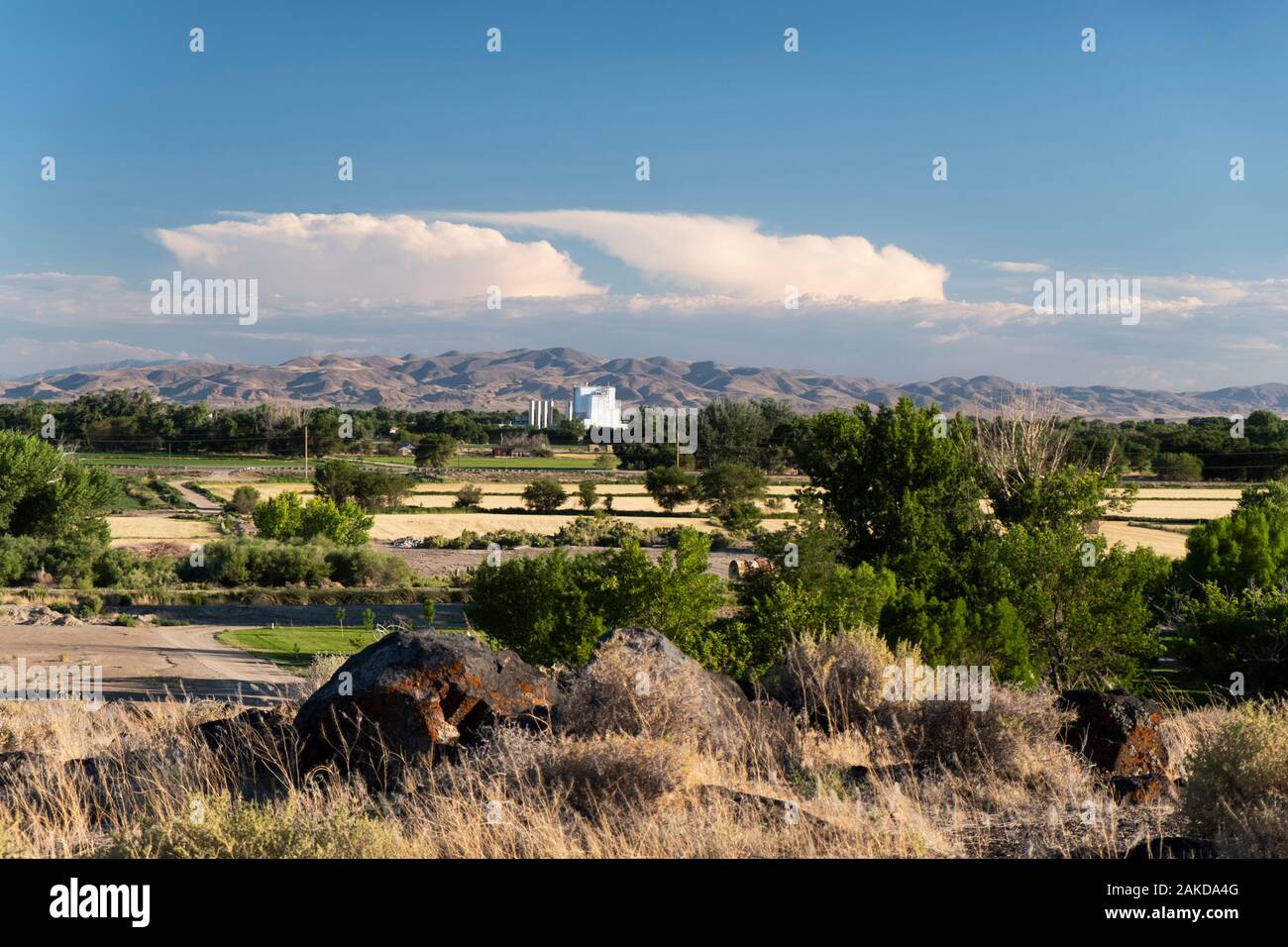 Farmland around Fallon Nevada Stock Photo