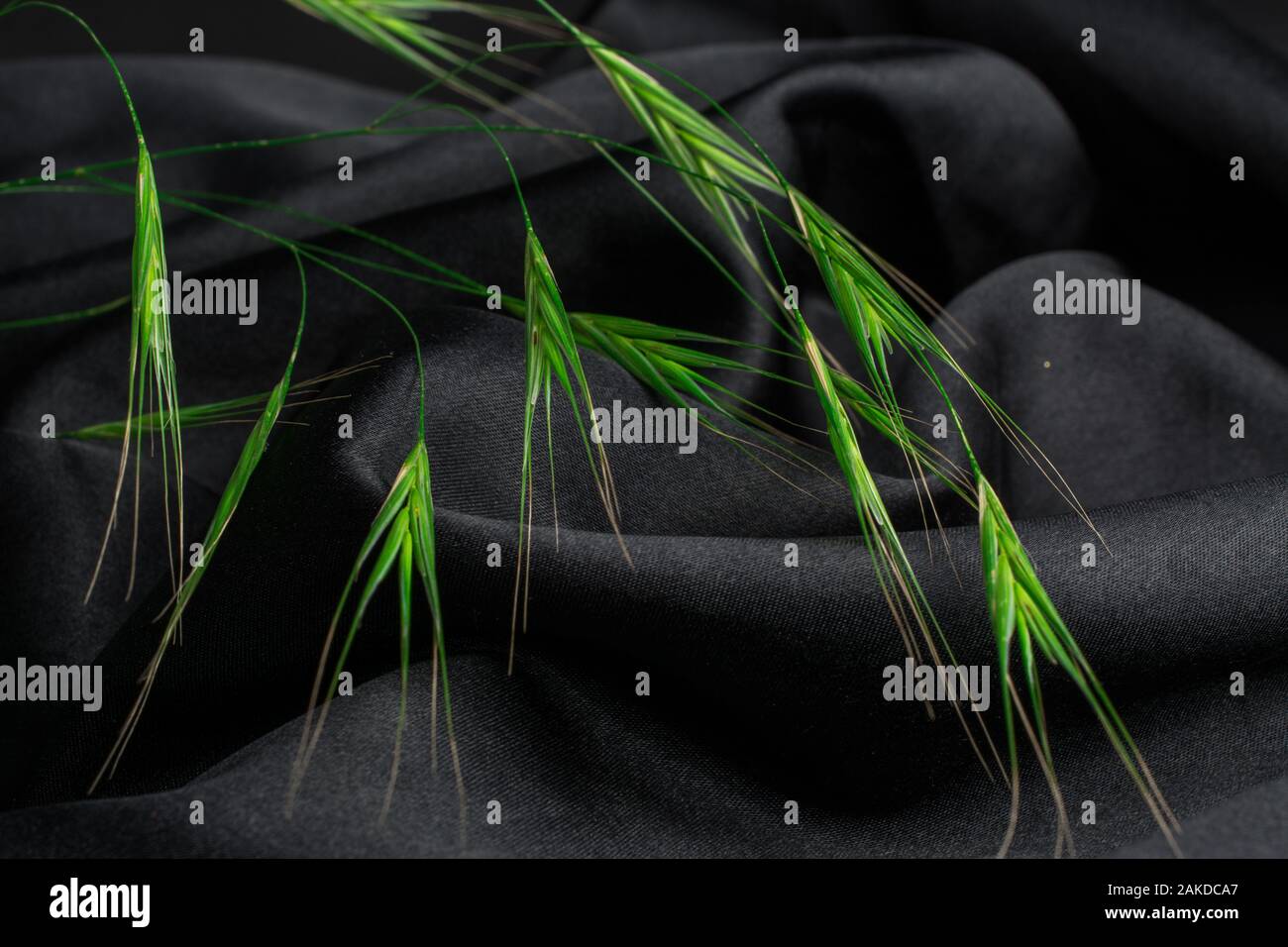 black background and grass Stock Photo - Alamy