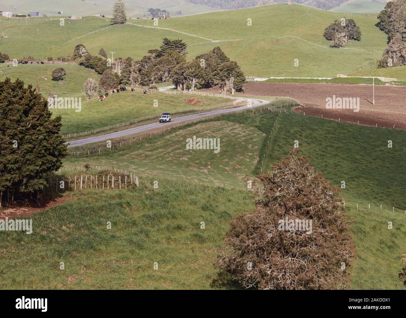 SUV drives through rural countryside and farmland in New Zealand Stock Photo