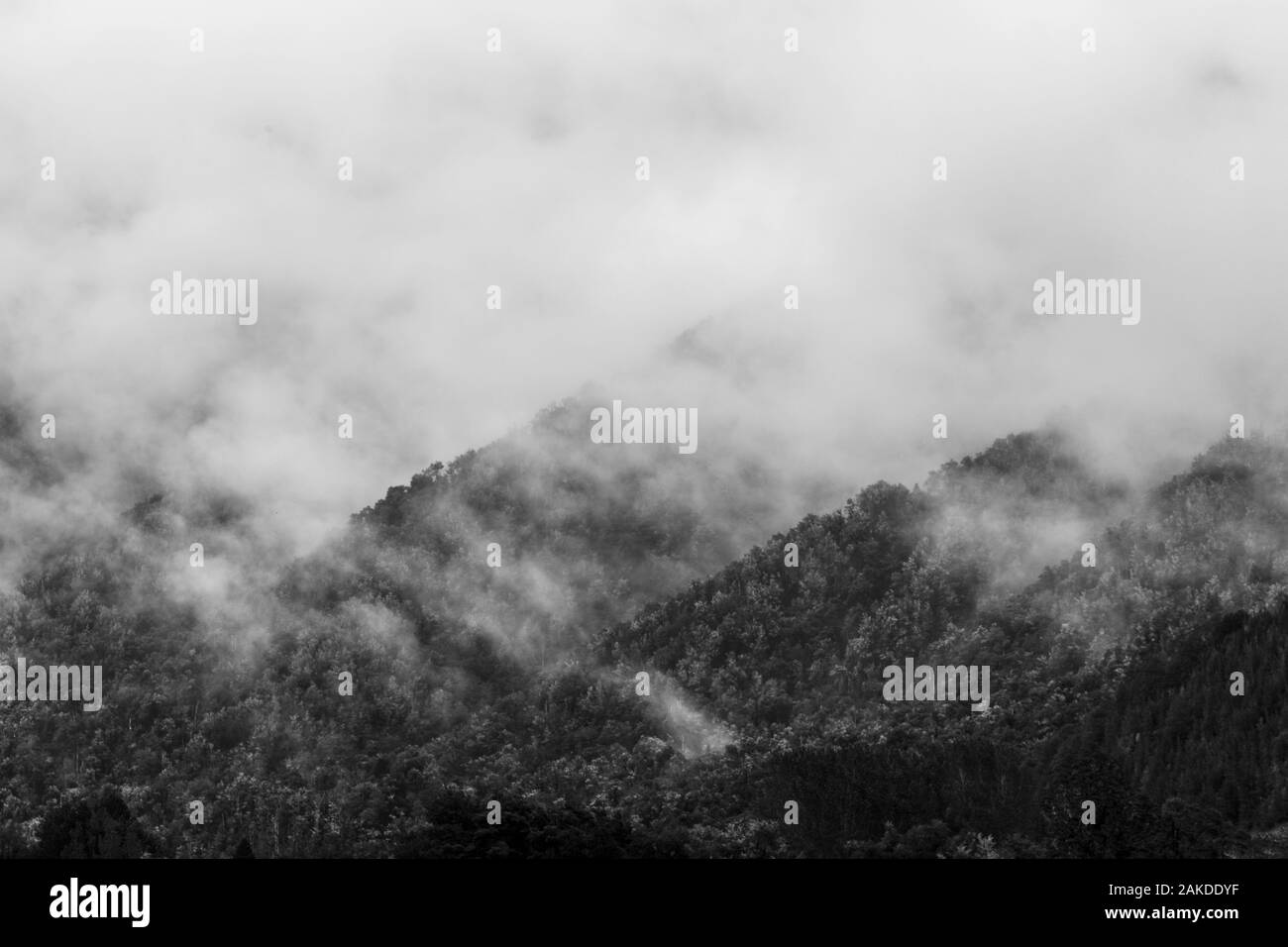 mist and cloud rises off tree covered mountains in New Zealand Stock Photo