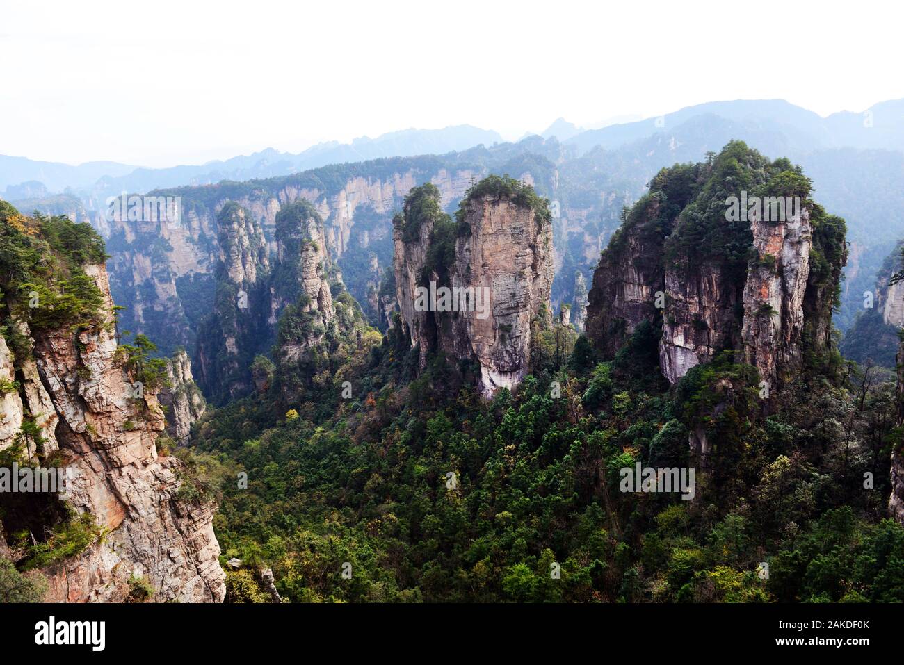 Zhangjiajie national forest park in Hunan, China Stock Photo Alamy
