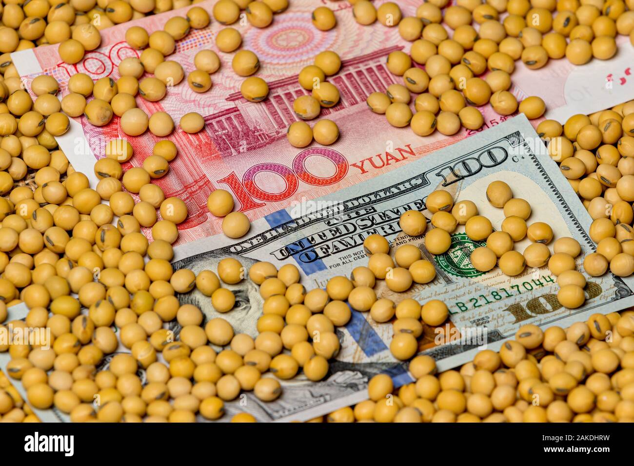 Chinese 100 yuan renminbi and American 100 dollar bill surrounded with soybeans. Concept of China and America trade war, tariffs, trade agreement Stock Photo