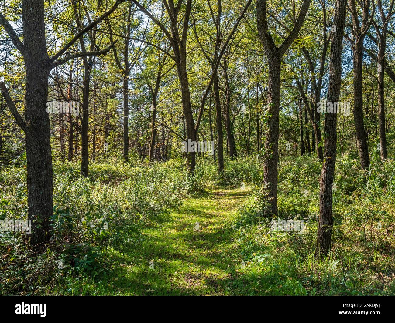 Cedar hill campground hires stock photography and images Alamy