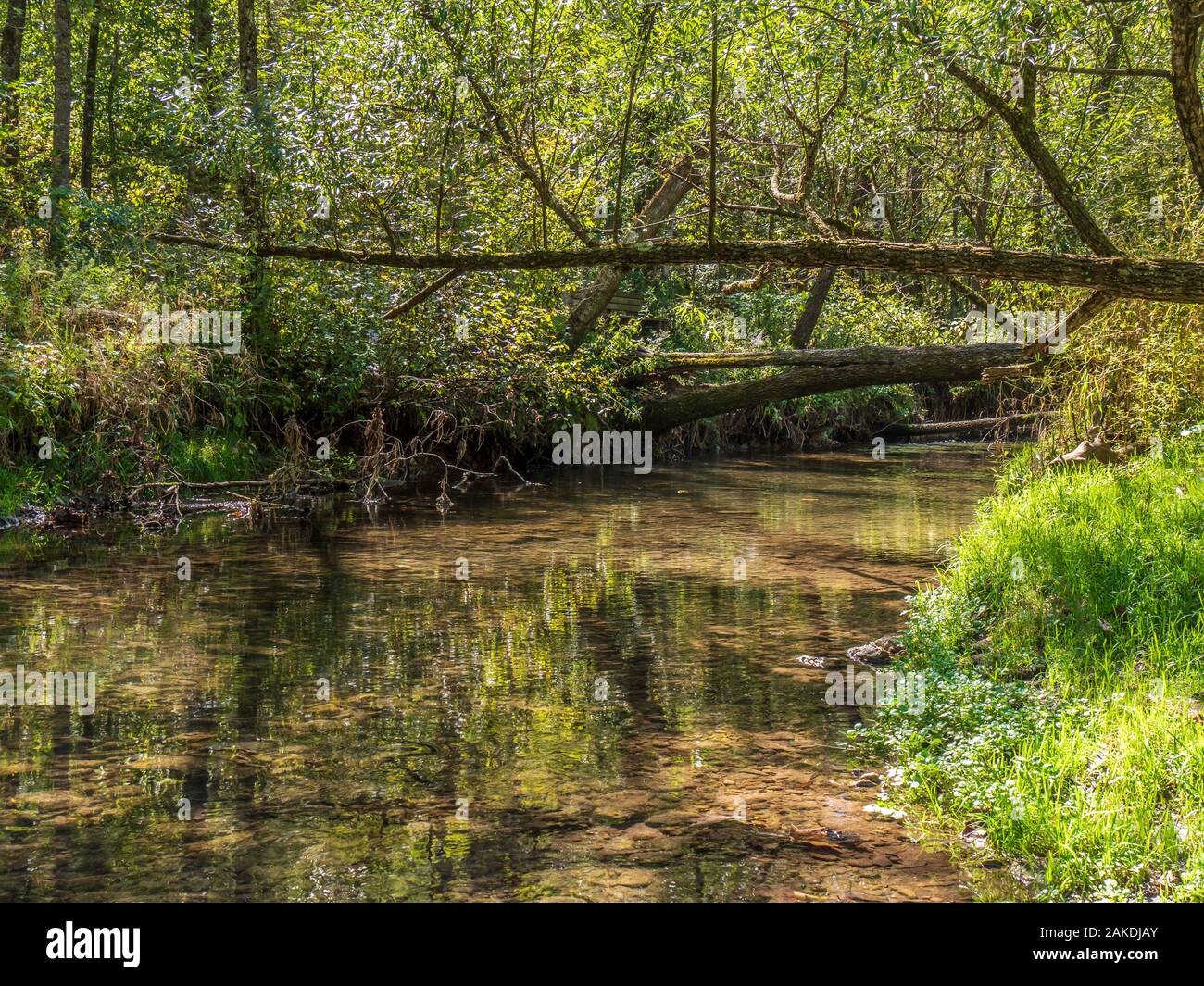 Trout Run Creek, Whitewater State Park, Altura, Minnesota Stock Photo