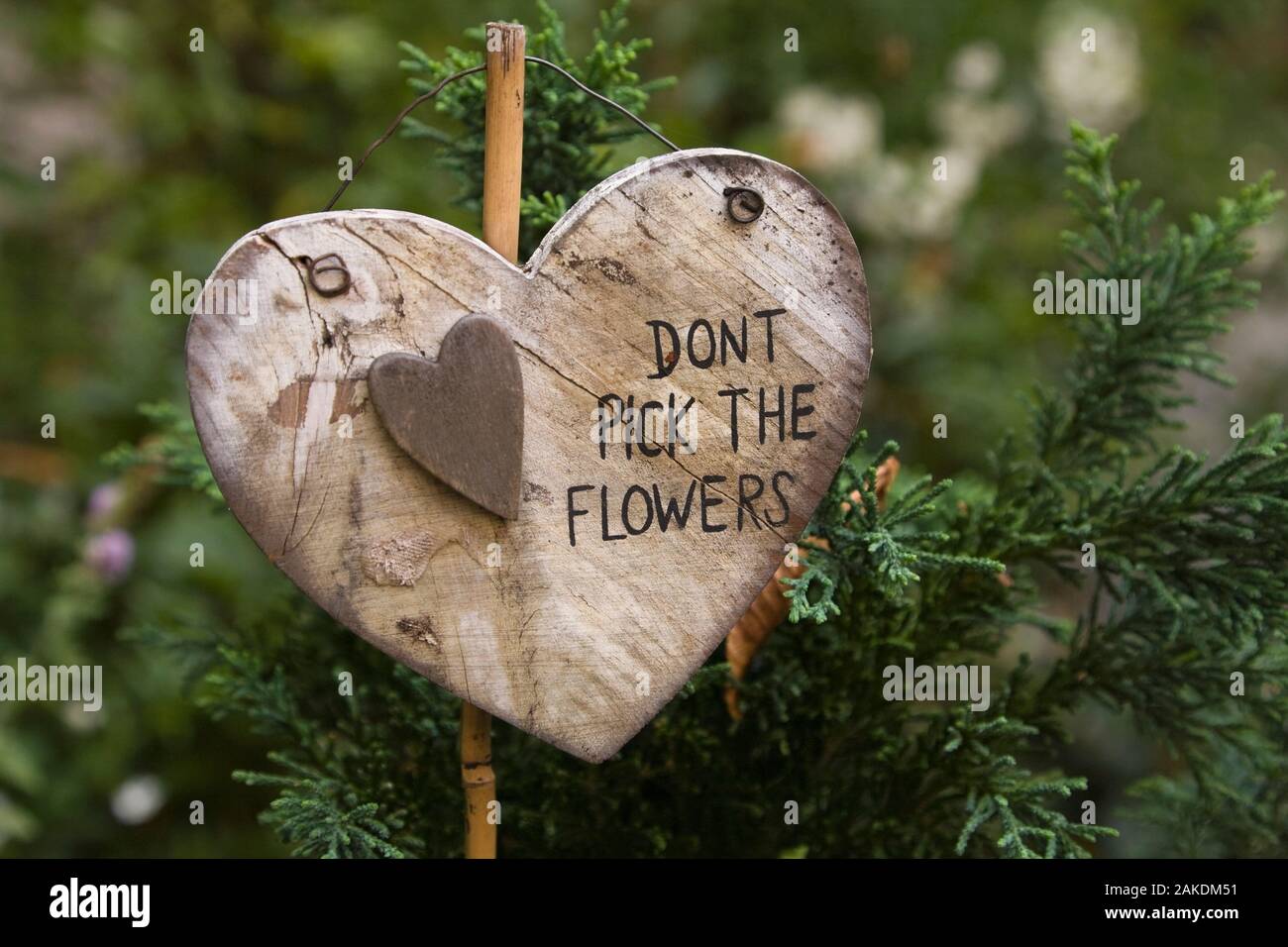 Wooden heart shaped 'Don't Pick the Flowers' sign in a front yard