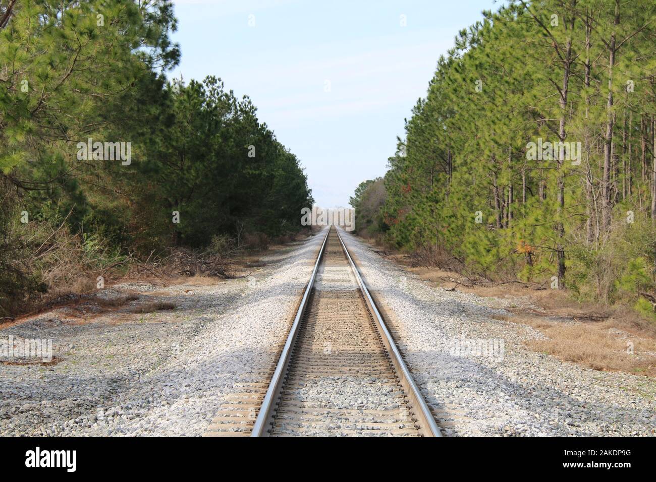 rail road train tracks railroad crossing forest Stock Photo
