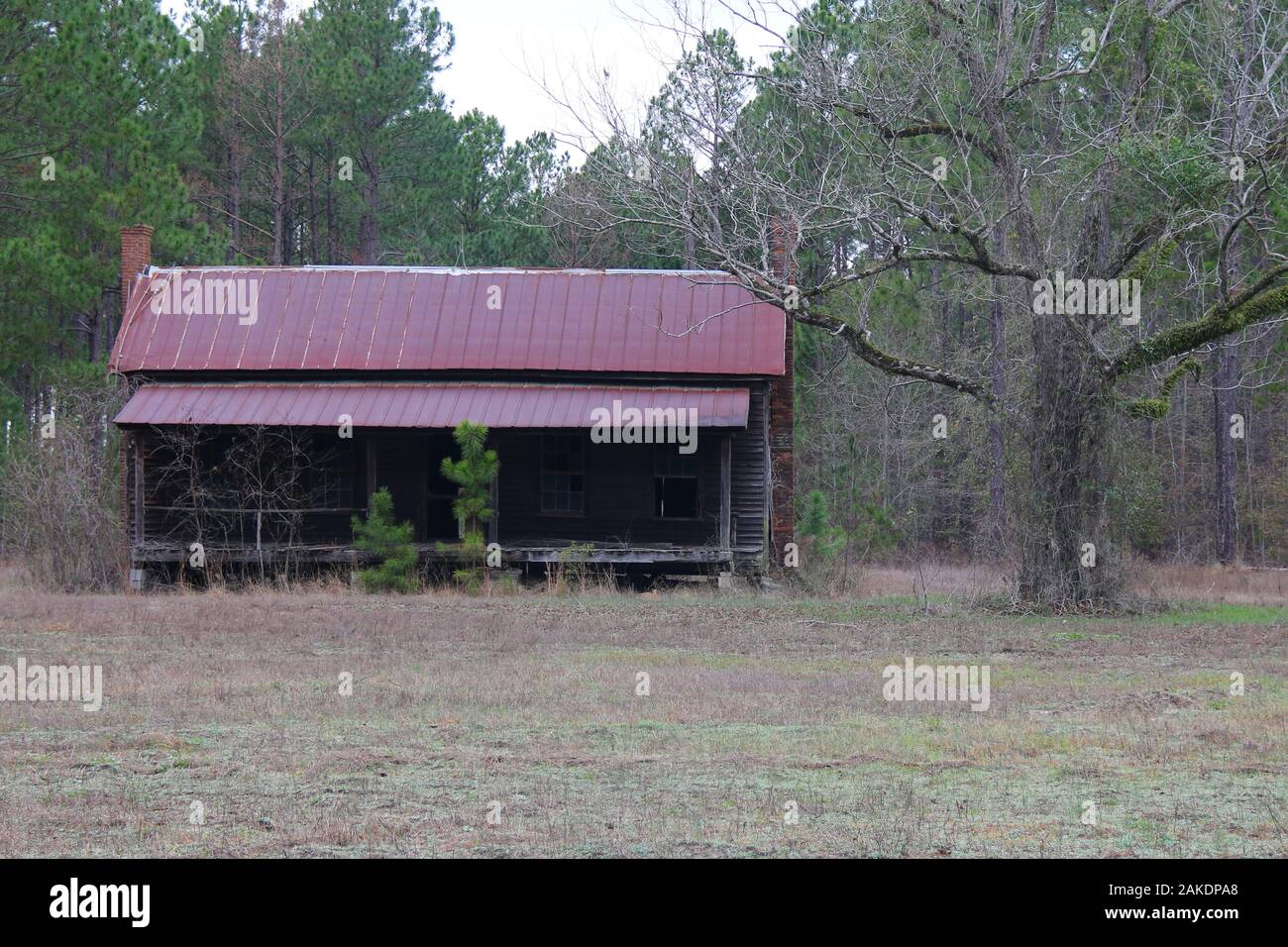 Shack and cabin hi-res stock photography and images - Alamy