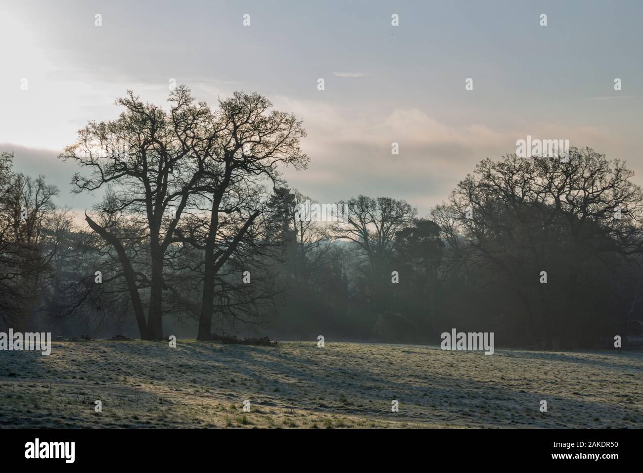 View over scenic park at frosty April morning in United Kingdom Stock Photo