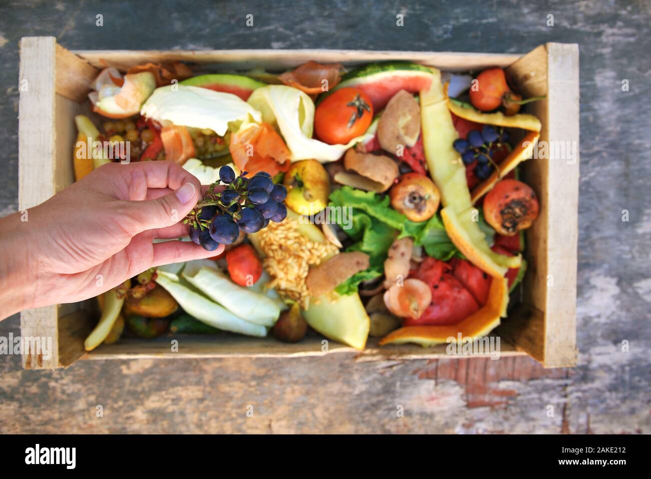 Female hand throws trash. Garbage sorting. Domestic waste for compost