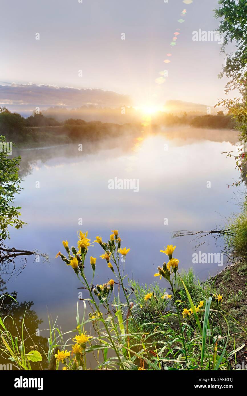 Beautiful morning on a river meander in a natural landscape with ...