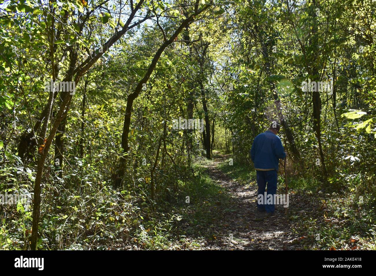 Solitary man walks down the Welch Spring Trail, which leads to Welch Spring and Hospital Ruins, on the Current River, near Jadwin, Missouri, MO, USA. Stock Photo
