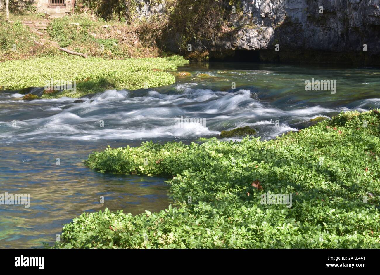 Welch Spring, near Jadwin Missouri, MO, United States, US, USA. The