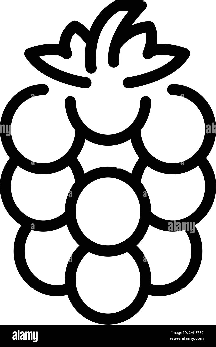 Dessert blackberry icon, outline style Stock Vector