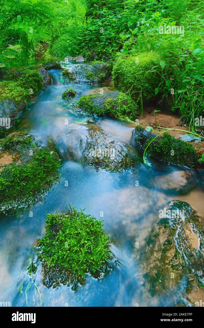 Forest waterfall and rocks covered with moss Stock Photo - Alamy