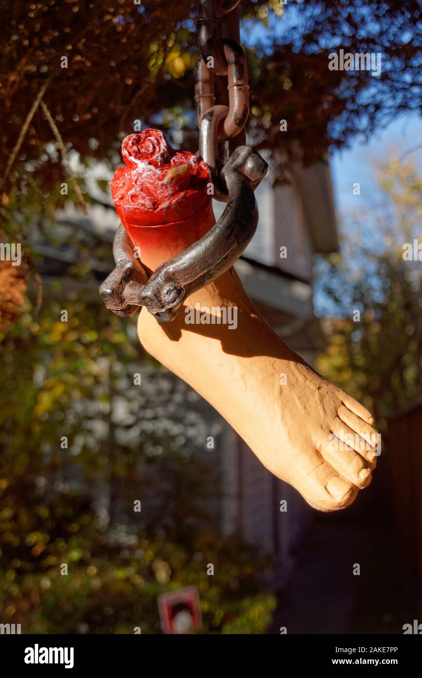 Macabre severed foot Halloween decoration hanging from a chain Stock Photo