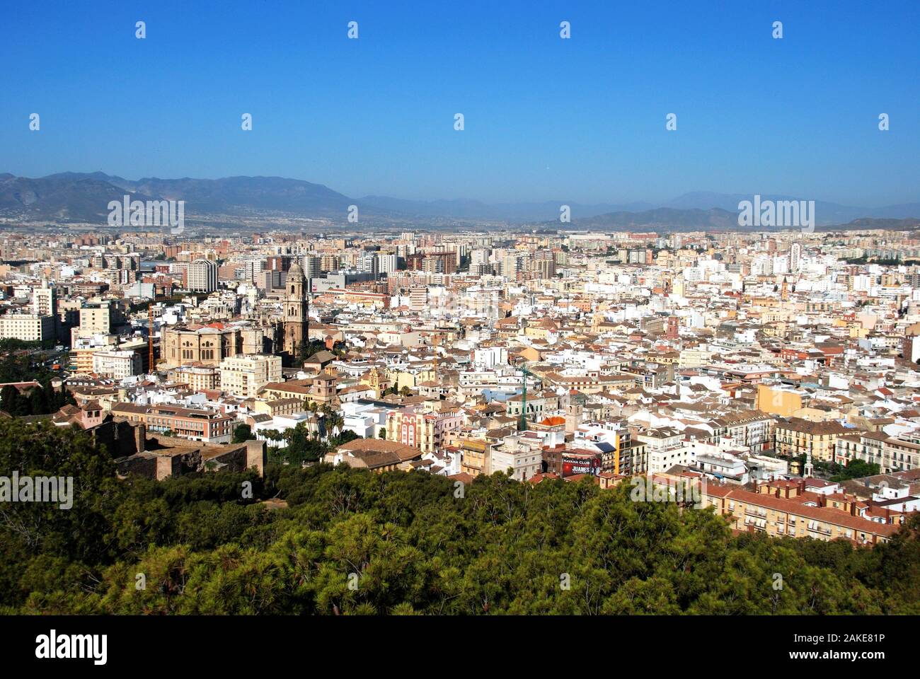 Elevated view of the city with the cathedral in the foreground seen from the castle, Malaga, Malaga Province, Andalucia, Spain. Stock Photo