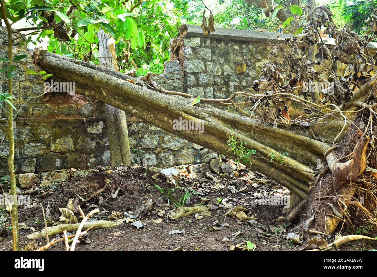 Compound wall hires stock photography and images Alamy