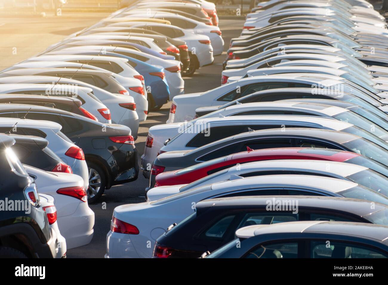Cars in a rows. Used car sales Stock Photo Alamy