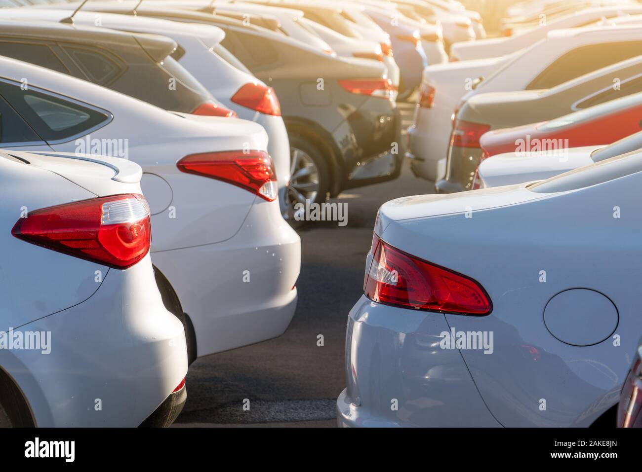 Cars in a rows. Used car sales Stock Photo