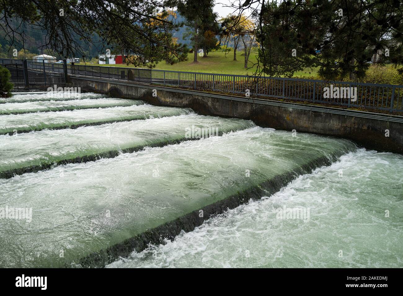 Water Flows Through the Fish Ladder at the Bonneville Dam, Cascade