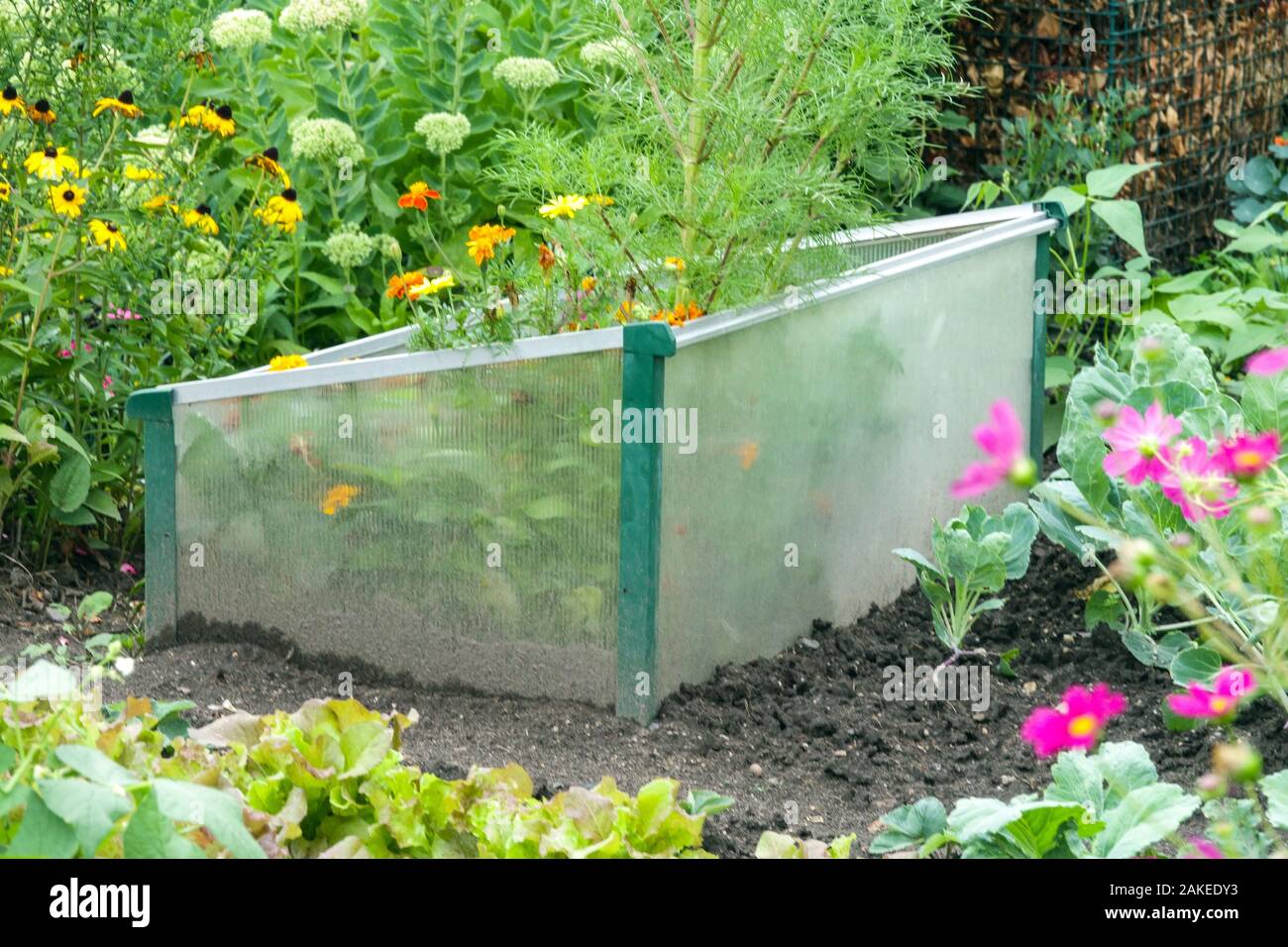 Growing in a frame hires stock photography and images Alamy