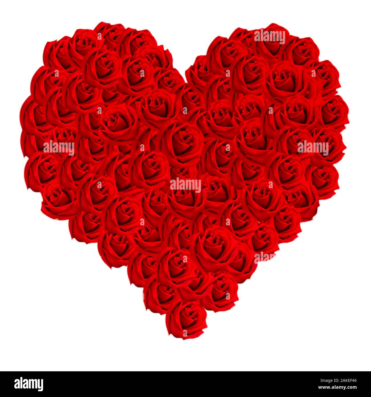 set of red roses forming a heart on white background in square size ...