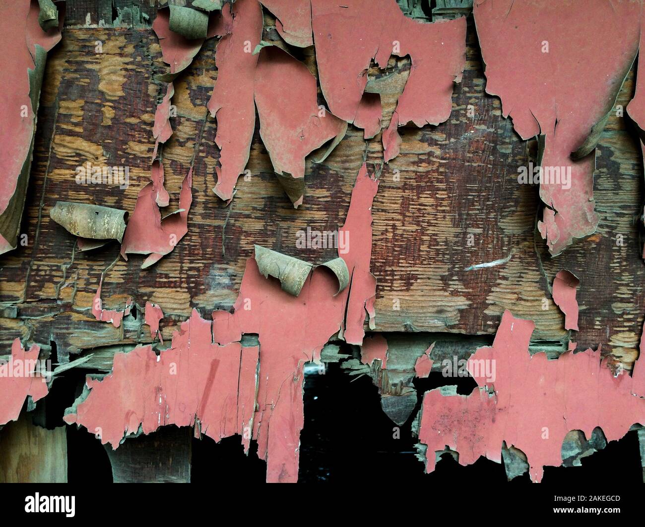Red paint cracking and peeling from wall in an abandoned house. Stock Photo