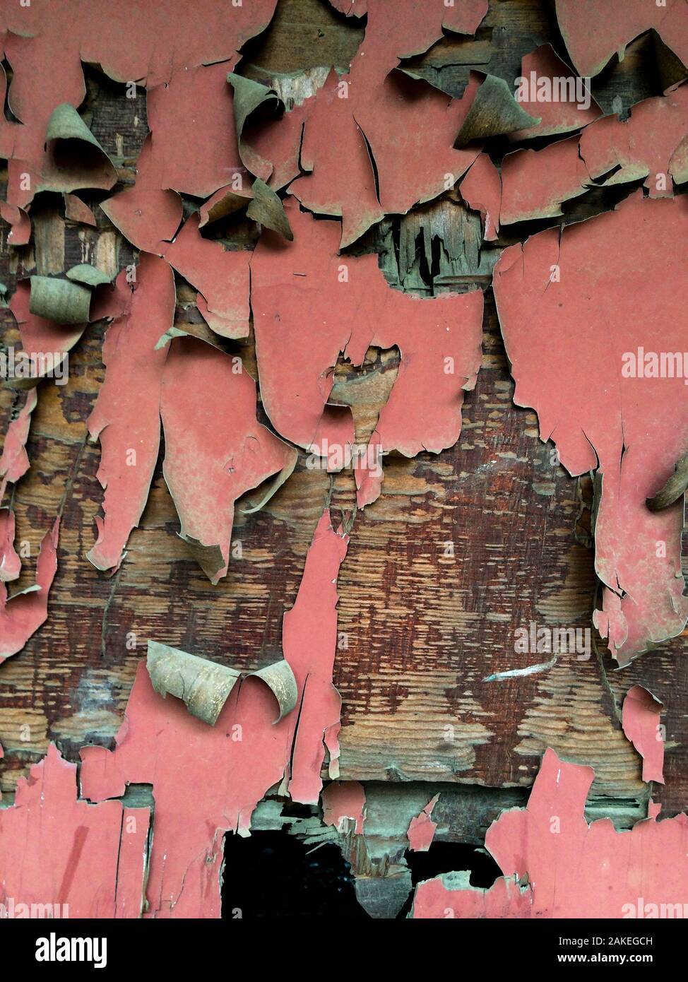 Red paint cracking and peeling from wall  in an abandoned house. Stock Photo