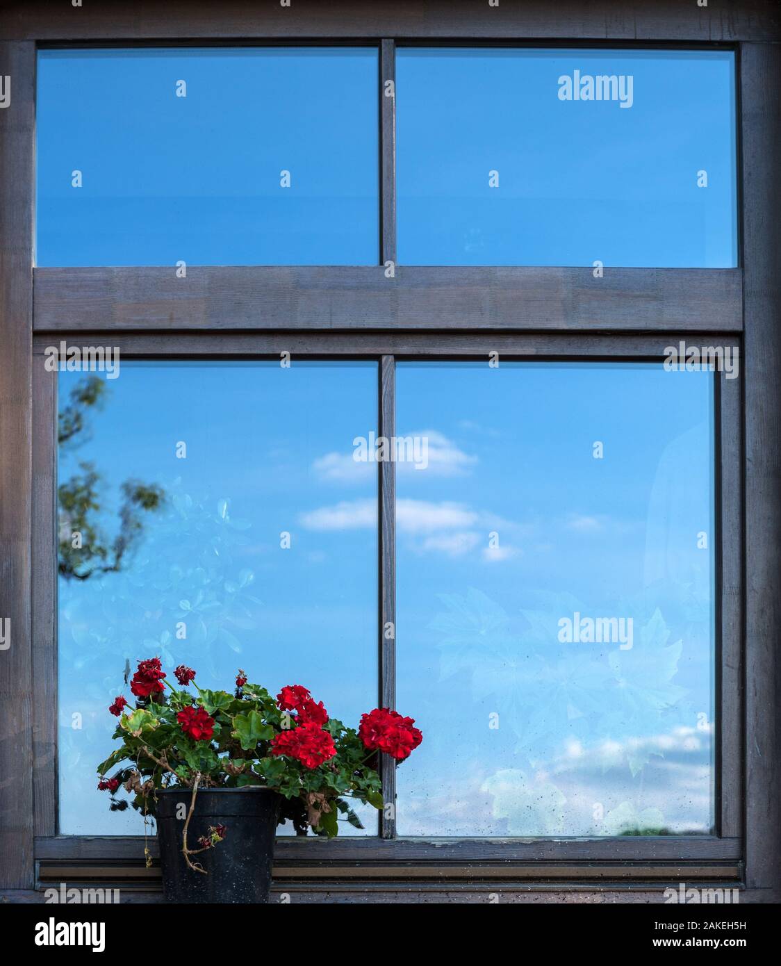 Window with flower pot outside Stock Photo Alamy
