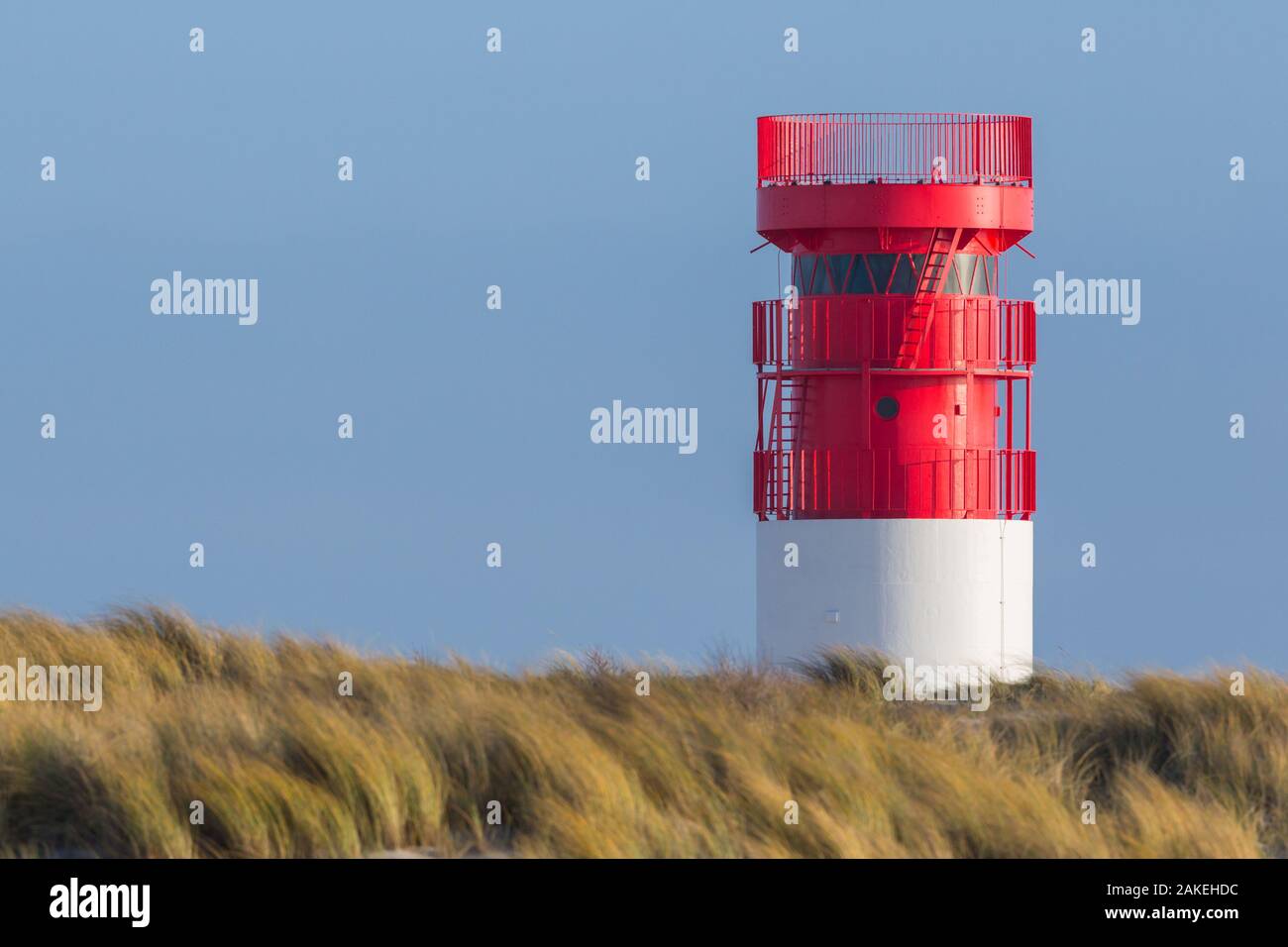 red white lighthouse on Helgoland Duene island, blue sky, golden grass Stock Photo