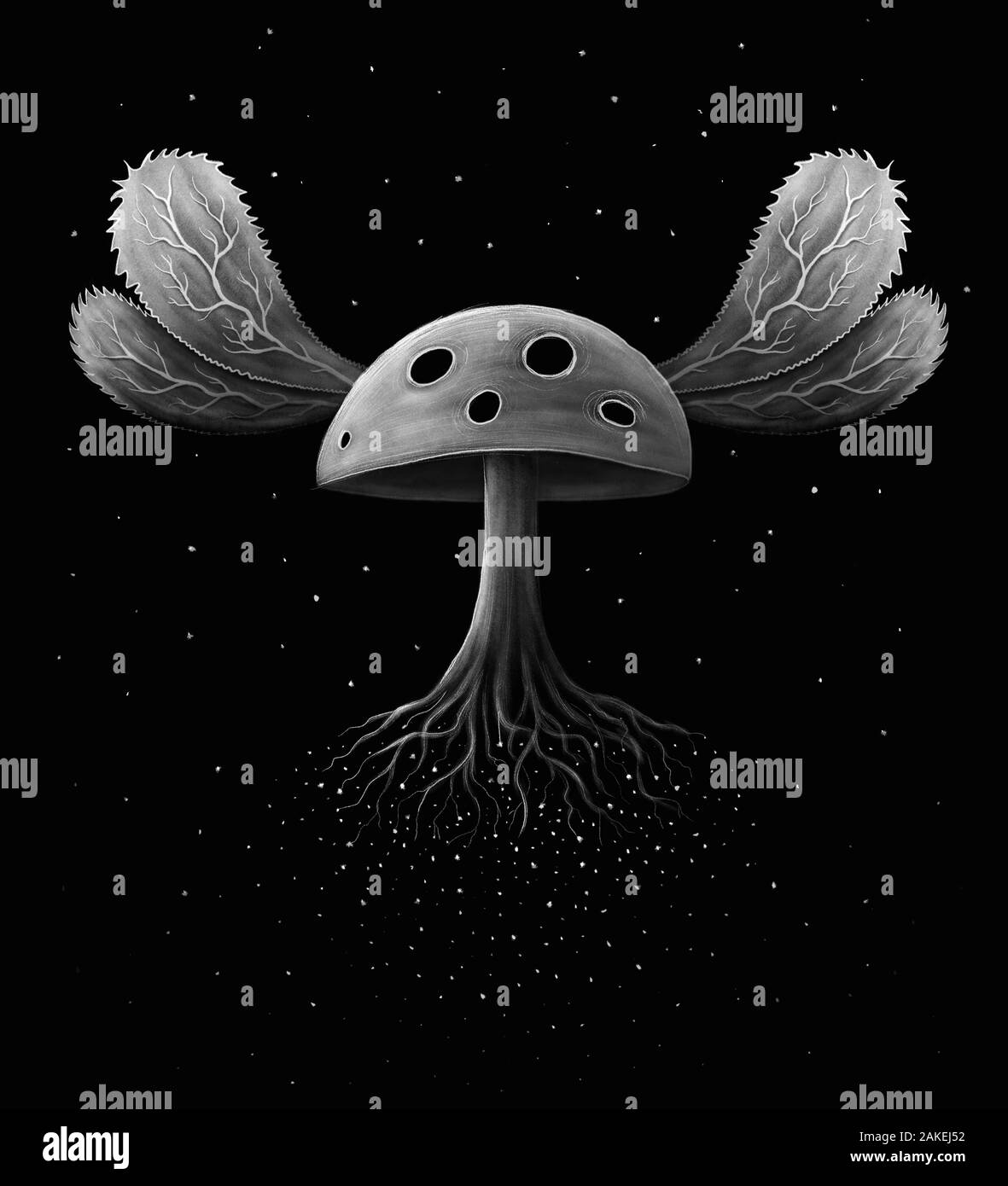 Mushroom With Wings Flying in Space. Hand Drawn Digital Illustration on Black Background. Designed for printing, posters, T-shirts etc. Stock Photo
