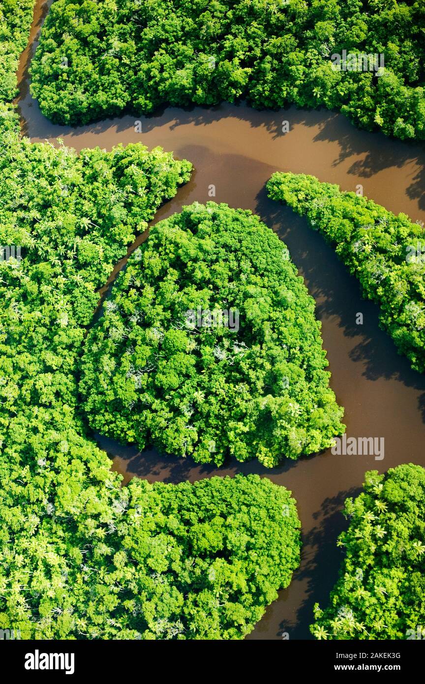 Aerial view of meandering river in rainforest on Fiji, March 2007. Stock Photo