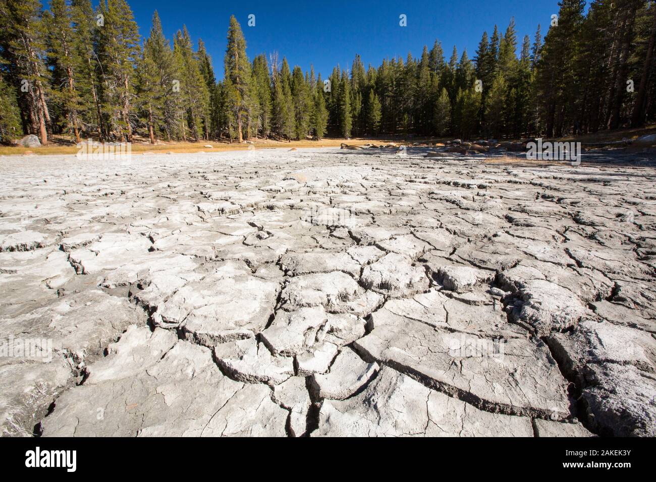 Drought impacted lake in Yosemite National Park, California, USA. October 2014. Stock Photo