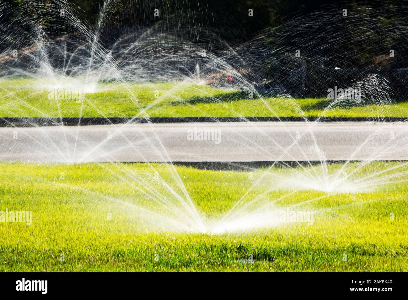 Sprinklers watering lawns during the worst drought in living memory, Fresno, California, USA. October 2014. Stock Photo