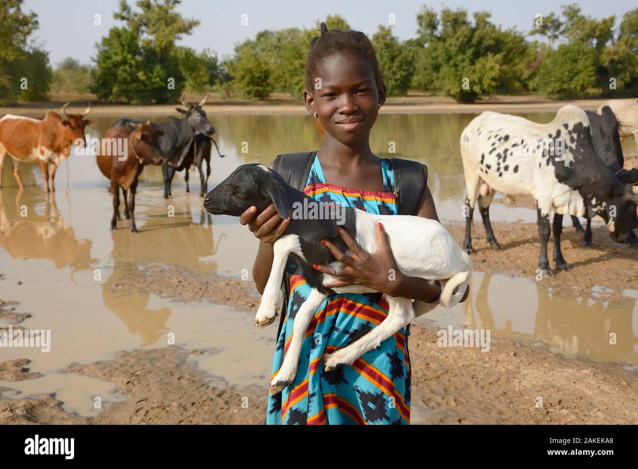 Young girl holding baby goat hires stock photography and images Alamy