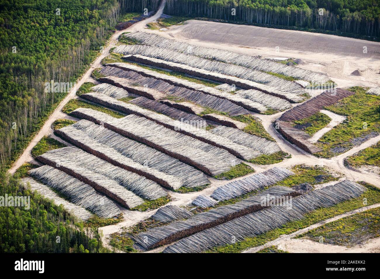 Boreal forest trees clear felled to make way for a new tar sands mine north of Fort McMurray, Alberta, Canada.  August 2012 Stock Photo