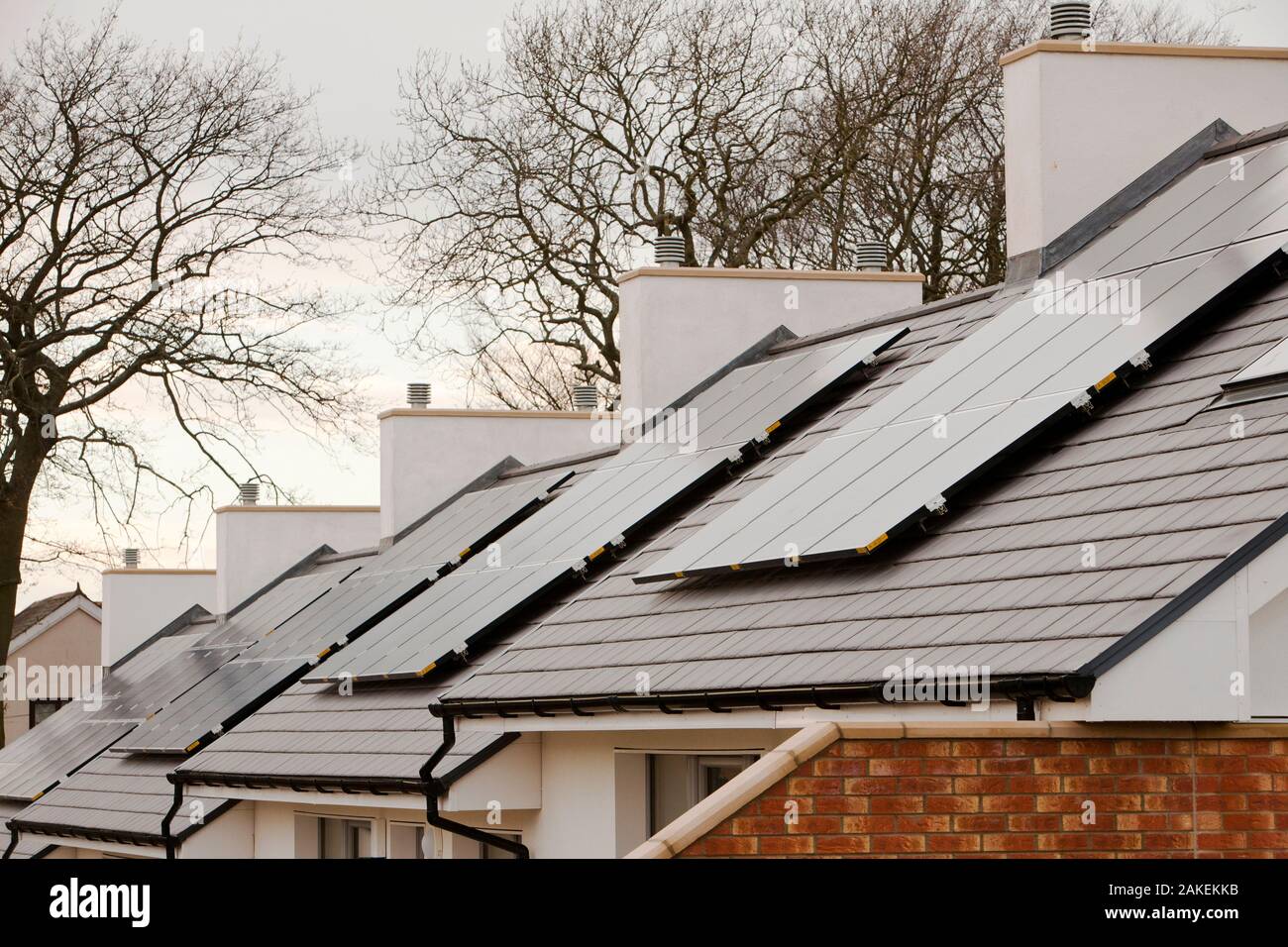 Hutton Rise housing development in Sunderland, UK.  All of the houses have either solar thermal water heating or solar electric panels, some have both. December 2011 Stock Photo