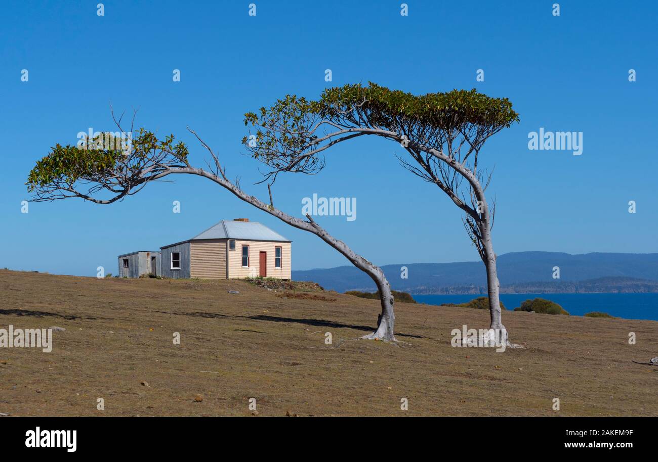 Commandants residence from 1825, Maria Island National Park east coast of Tasmania, Australia. January 2018. Stock Photo
