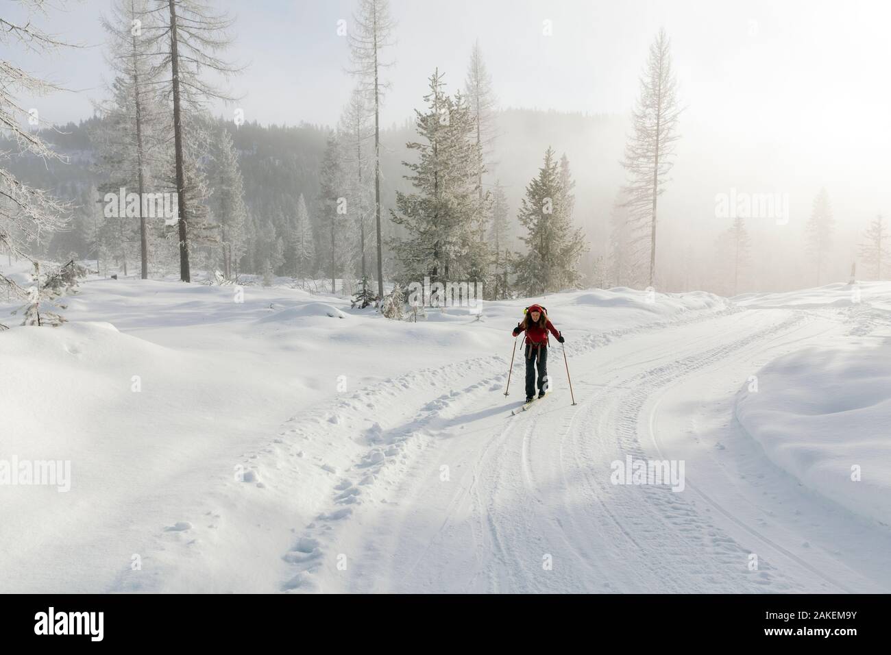 Woman cross-country skiing at the summit of Suntop Mountain in the Baker-Snoqualmie National Forest.  Washington, USA. February 2018. Model released. Stock Photo