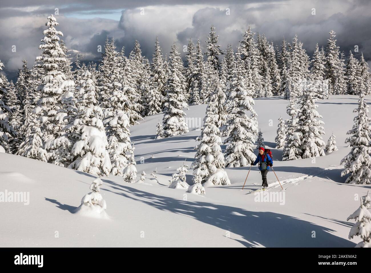 Woman cross-country skiing at the summit of Suntop Mountain in the Baker-Snoqualmie National Forest. Washington, USA. February 2018. Model released. Stock Photo