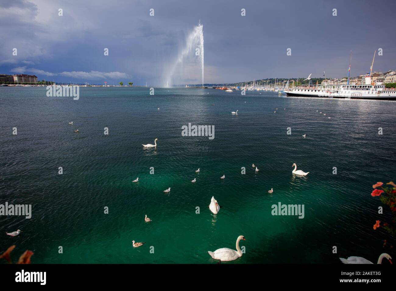 Jet d´Eau fountain, Geneva lake. Switzerland Stock Photo