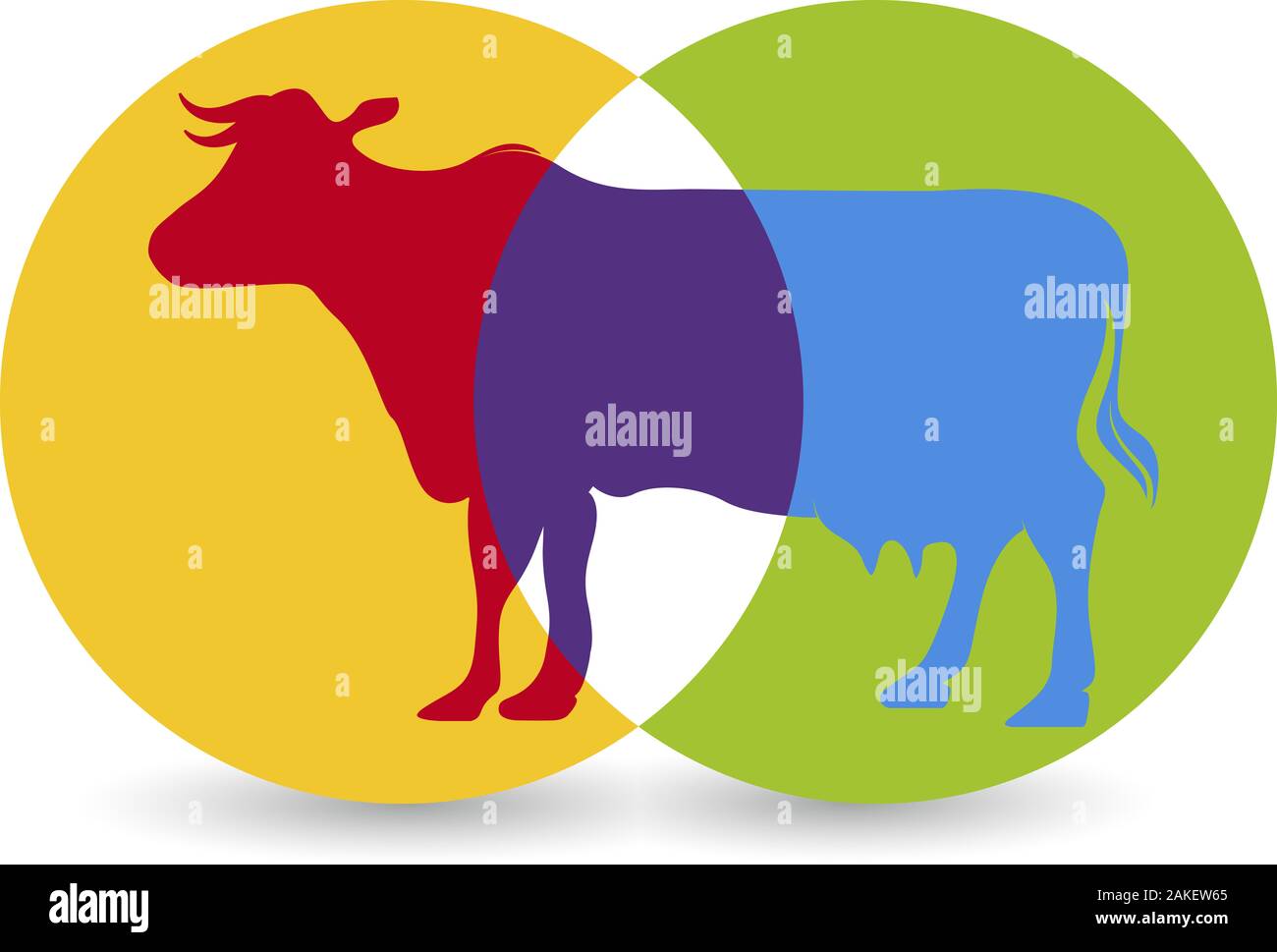 cow logo Stock Photo
