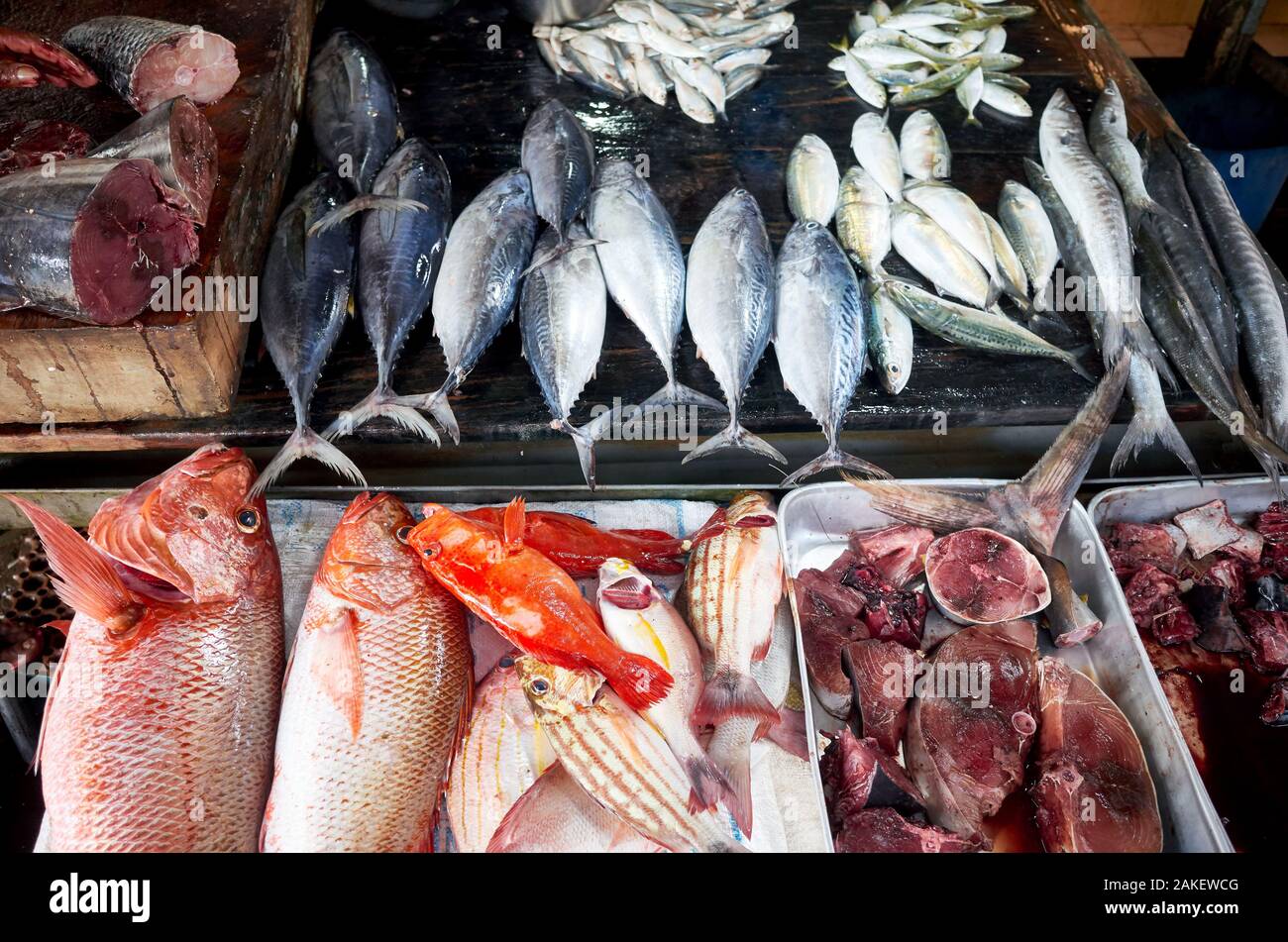 Fresh fish at the market in Hikkaduwa, Sri Lanka Stock Photo Alamy