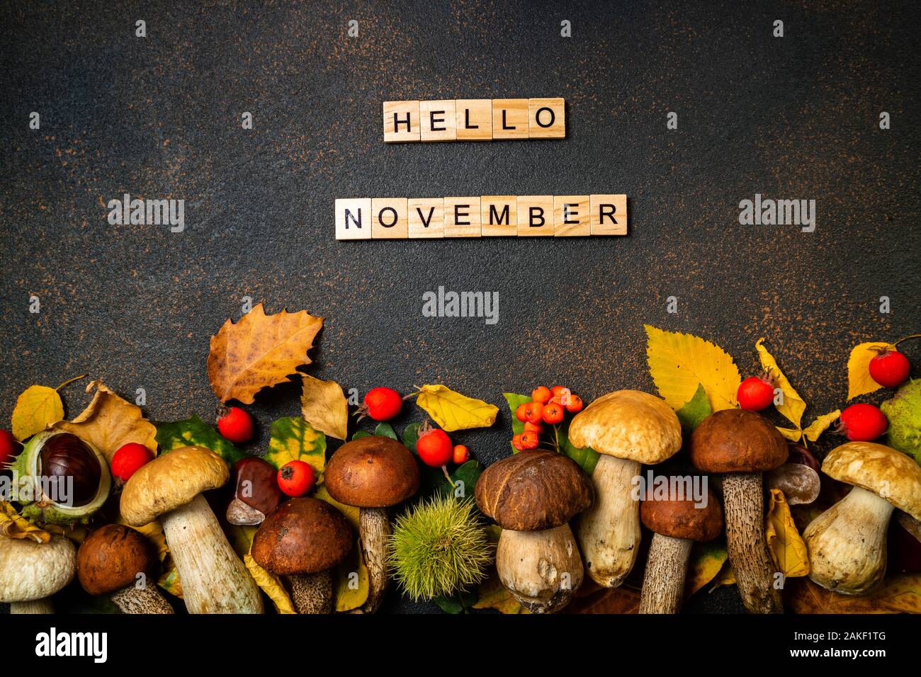 Hello november hi-res stock photography and images - Alamy