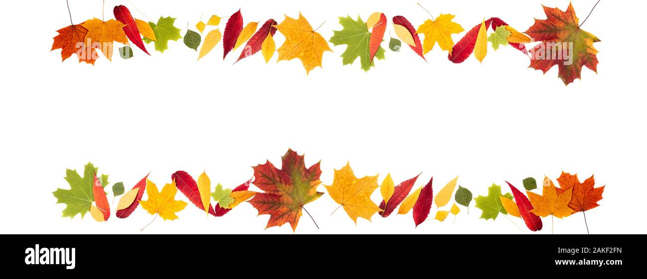 Autumn composition. Frame made of autumn leaves on white background ...