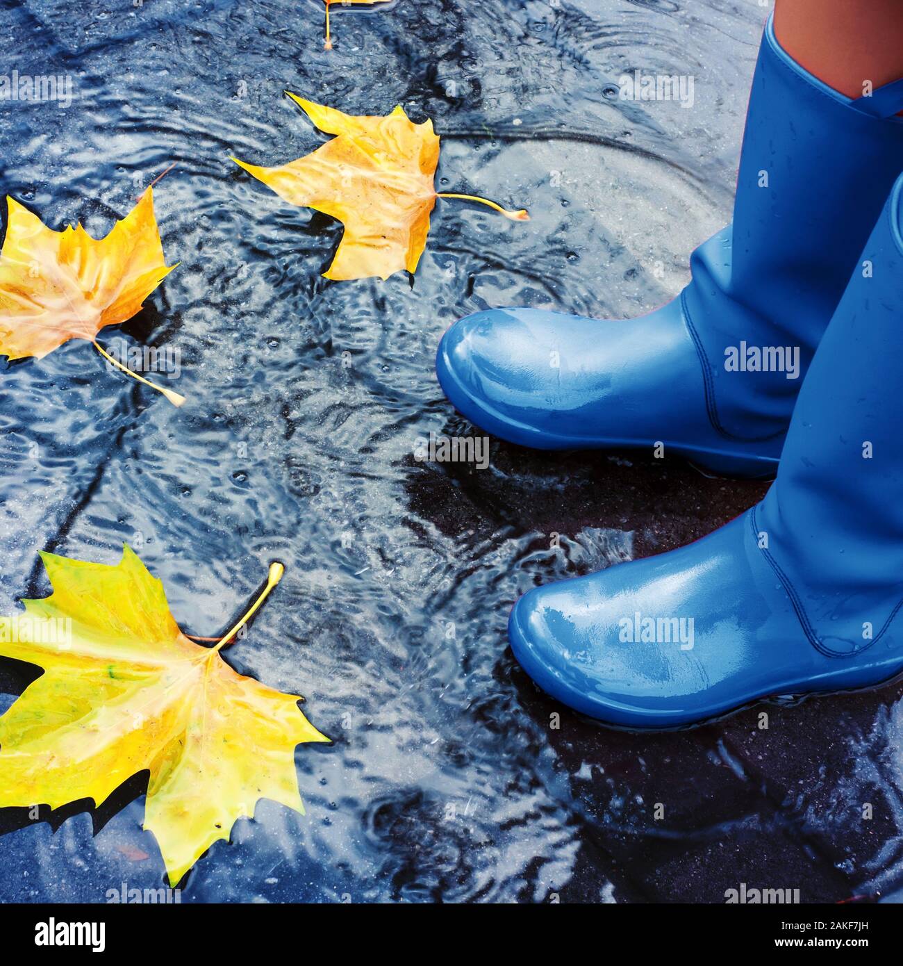 so sugar maple boots