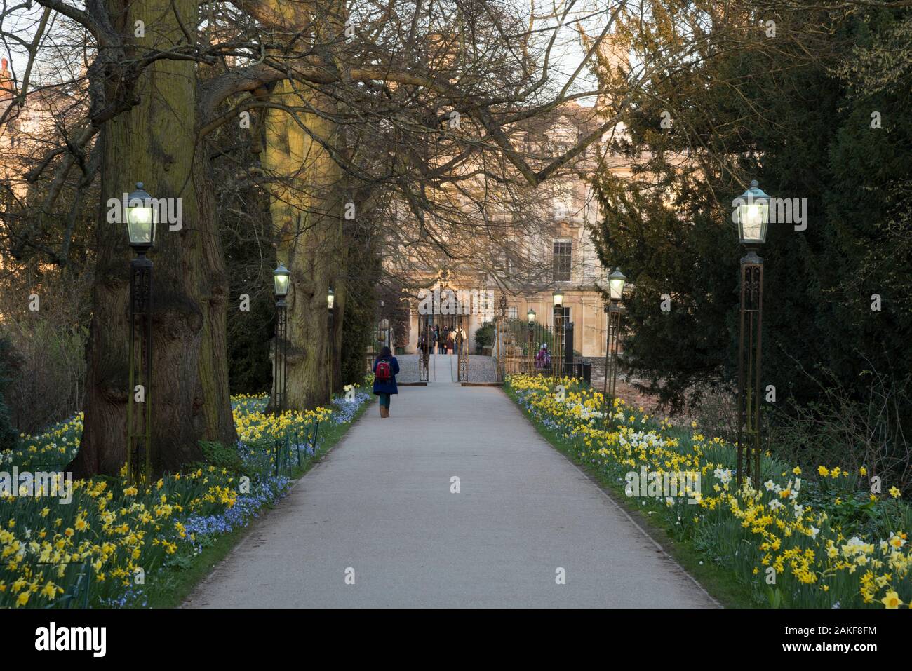 UK, England, Cambridgeshire, Cambridge, Clare College in the Spring Stock Photo